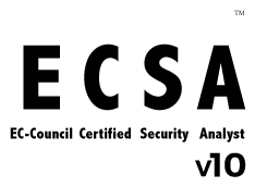 ecsa certification