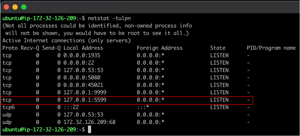 Figure 2: We observed that the JMX remote management service was configured to listen on localhost on port 5599/TCP.