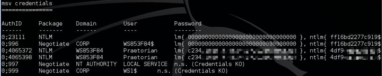 msv credentials results