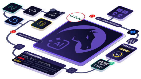 LL Bean Continuous Pen Testing